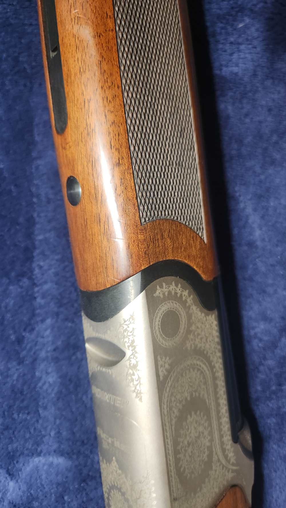 Pointer Acrius 12GA-img-33