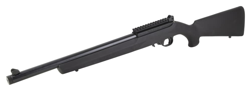 Ruger 10/22 -img-2