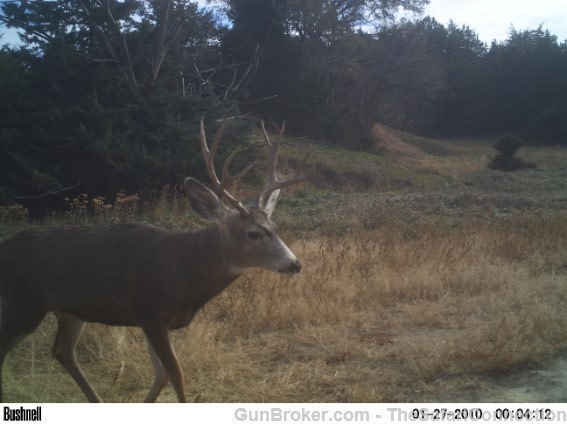 2026 Nebraska Mule Deer/Whitetail hunt 100% tags.-img-17