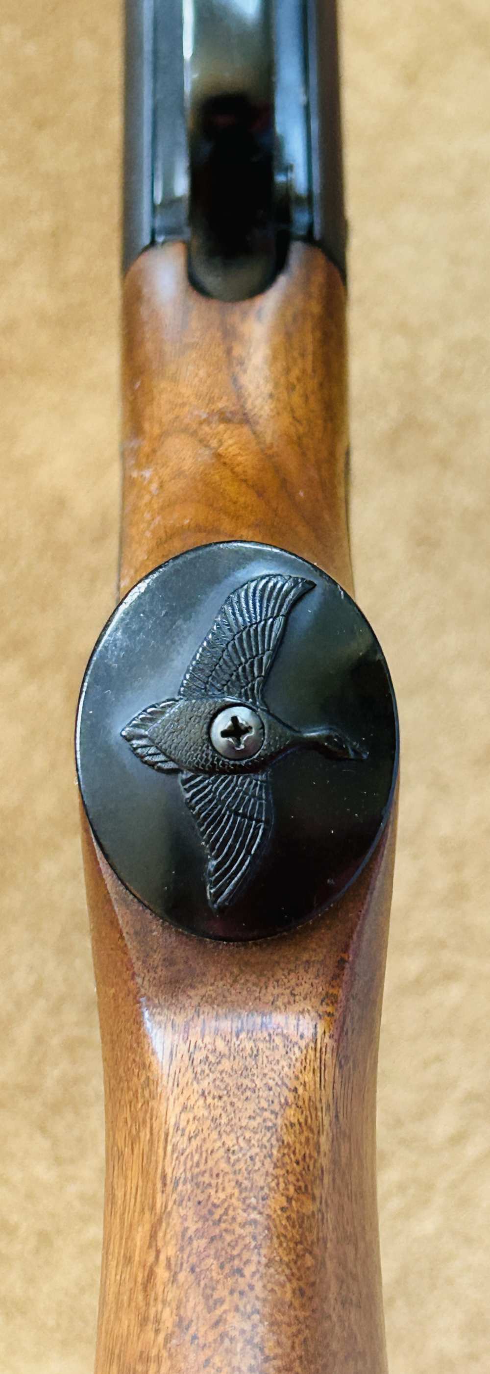 Remington 20 ga Model 48 Sportsman -img-14