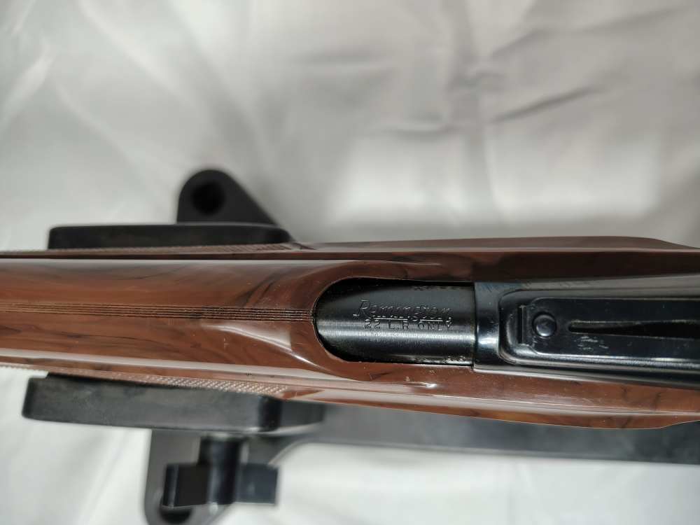 Remington Nylon 66 - .22LR - 1977-img-22