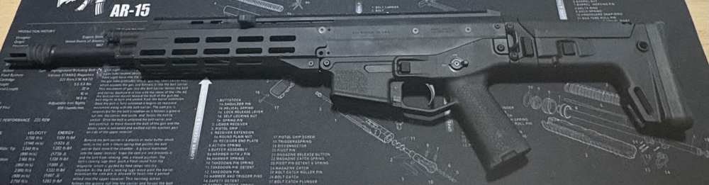 Bushmaster ACR w/MLOK Rail-img-1