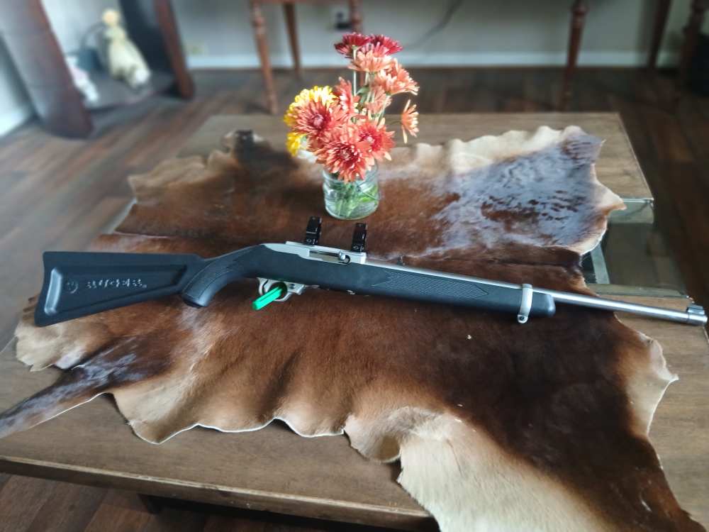 Ruger paddle stock stainless 10/22  penny auc no reserve -img-0