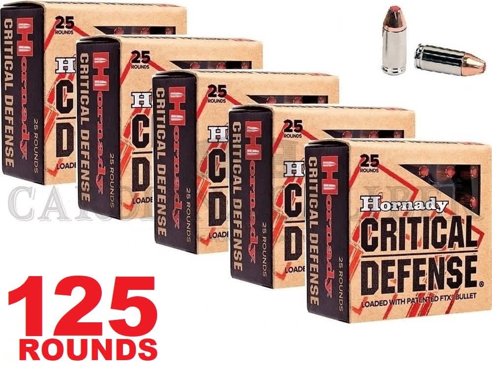 380 HORNADY FTX CRITICAL DEFENSE 90080 125RD-img-0