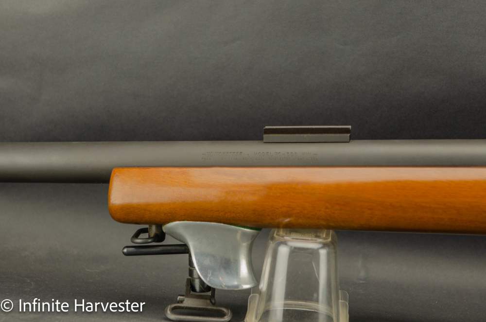 Winchester Model 70-img-10