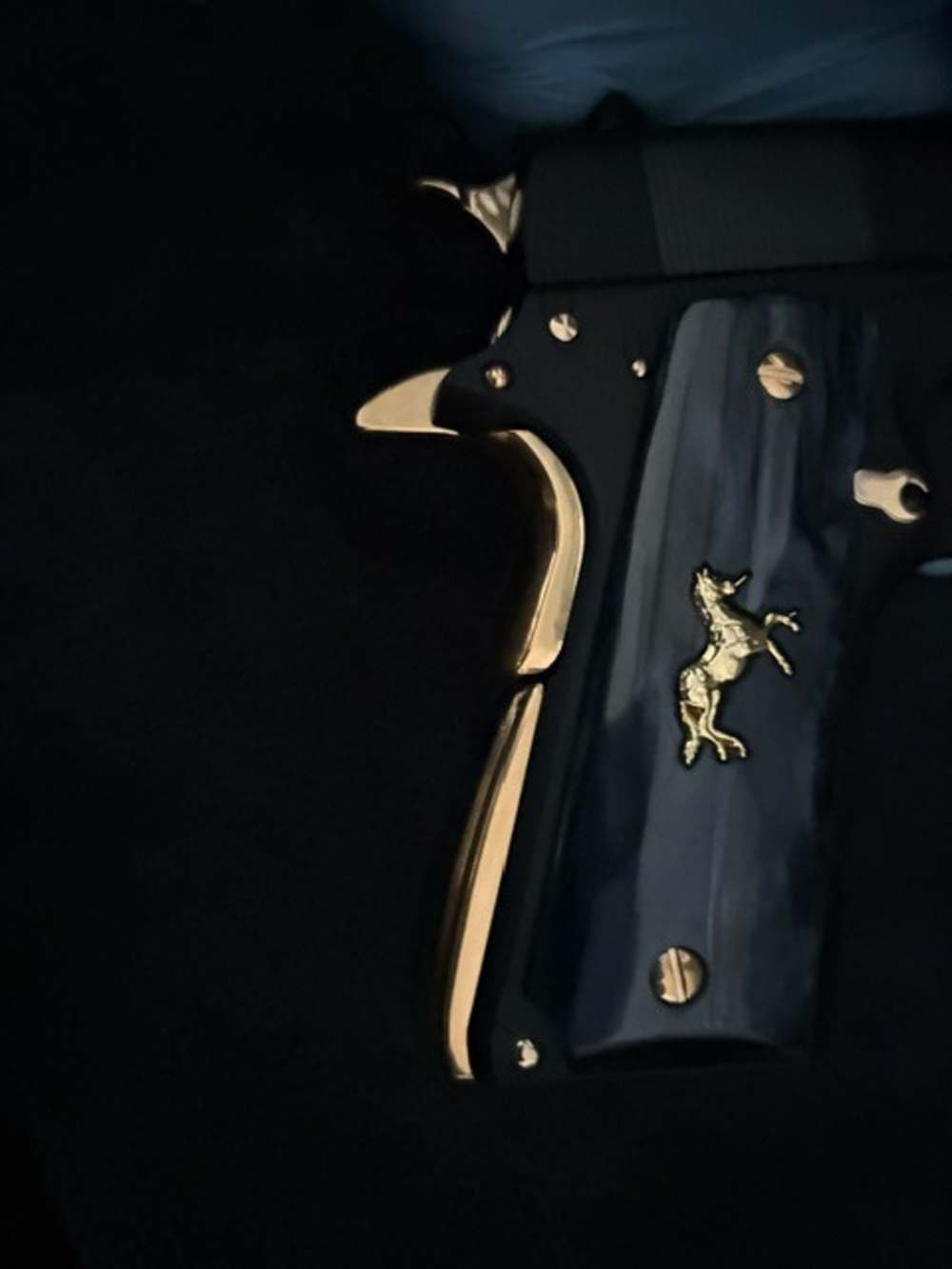 Century Arms Centurion 11 1911 45ACP Gold plated .01 Start Penny Auction NR-img-11