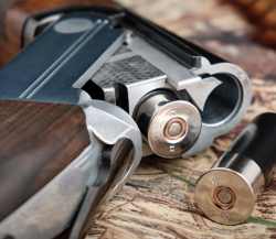 Picture of a Shotgun