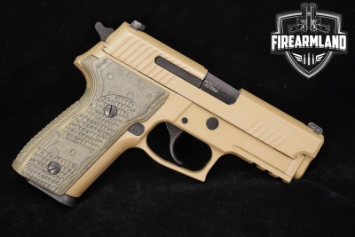 Sig Sauer P229 for Sale | Buy Online at GunBroker