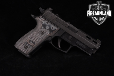 Sig Sauer P229 for Sale | Buy Online at GunBroker